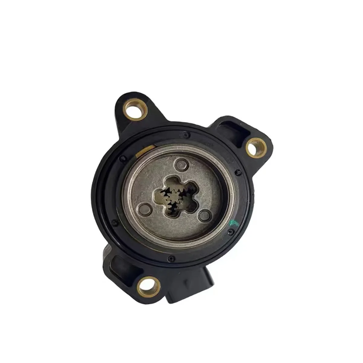 Tesla MX/MS Rear brake caliper moto Right detail 2