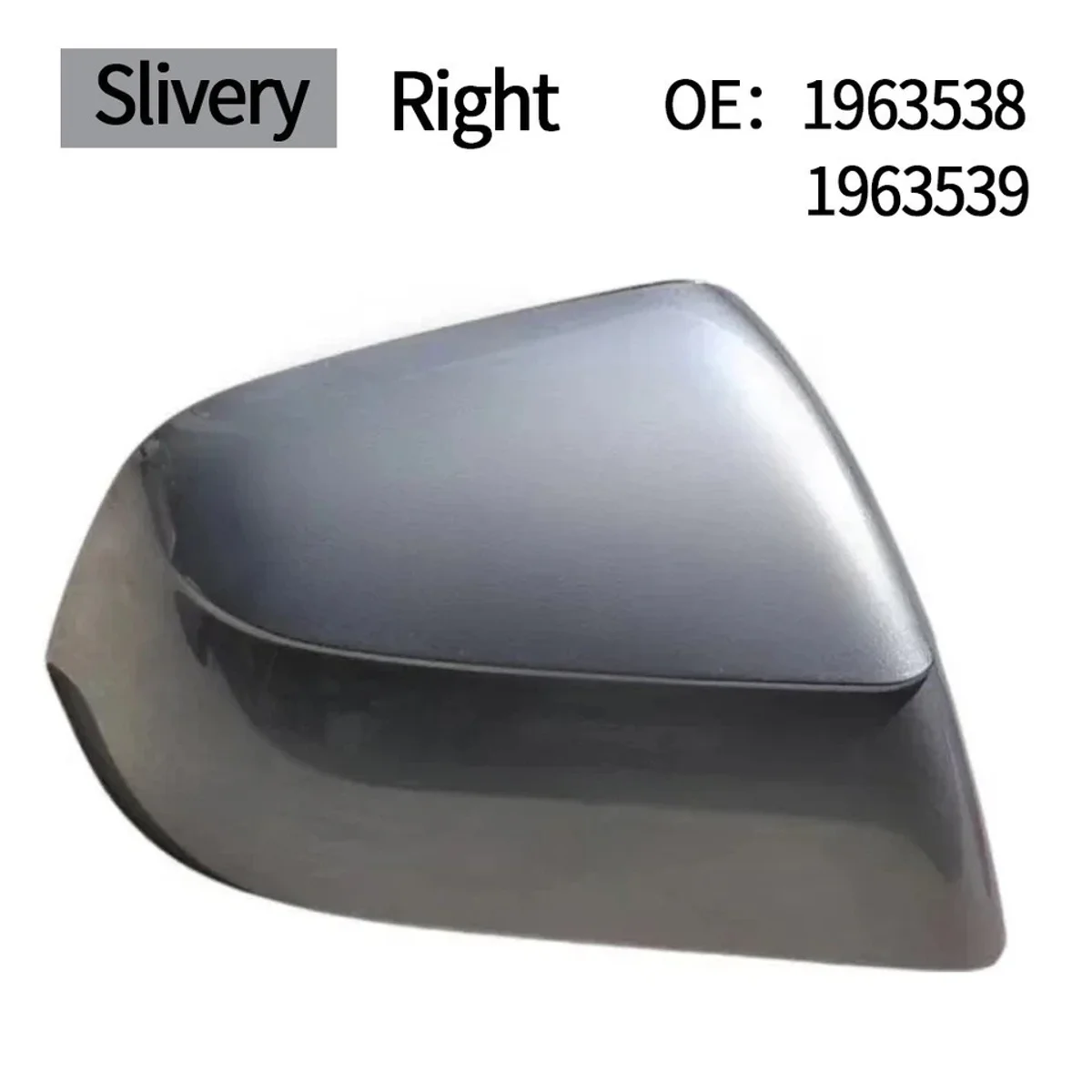 SKULL CAP - EXTERIOR MIRROR - RIGHT HAND - QUICKSILVER